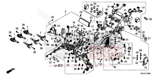 FAISCEAU DES FILS GL1800DAK de 2019